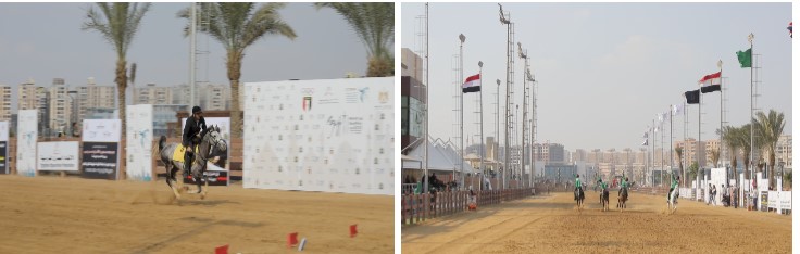 الفروسية 3