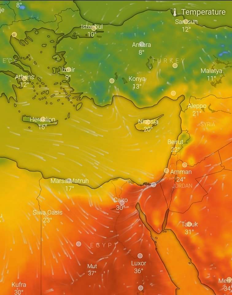 طقس حار
