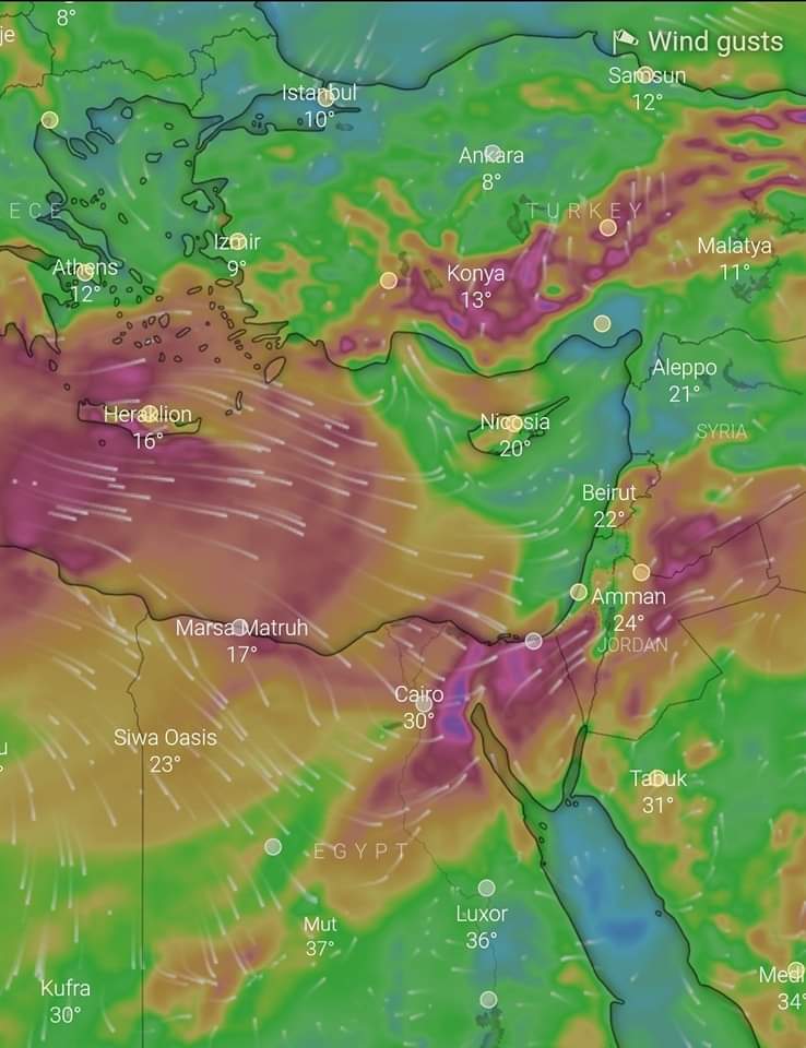 طقس حار