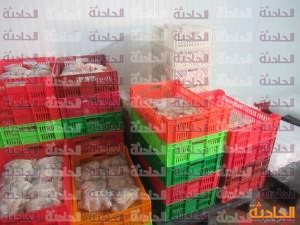 المسطحات 4