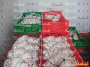 المسطحات 5