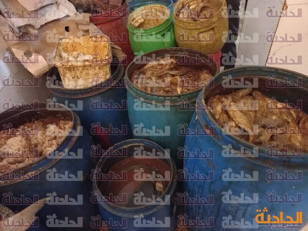 أسماك مملحة وفسيخ
