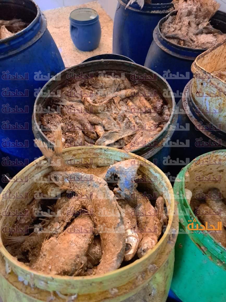 أسماك مملحة وفسيخ