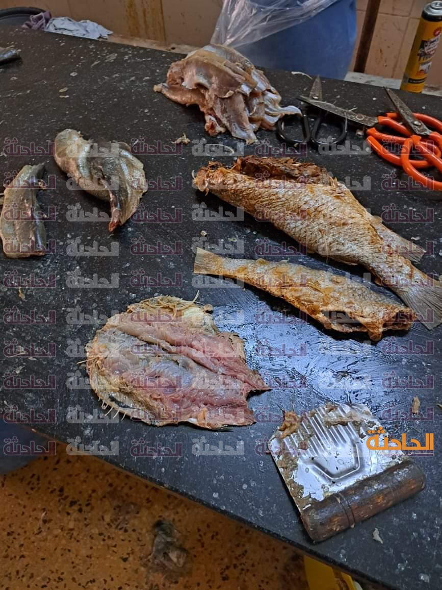 أسماك مملحة وفسيخ