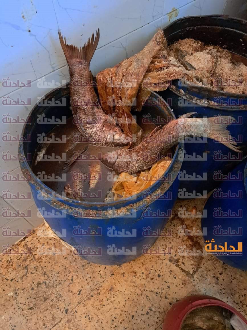 أسماك مملحة وفسيخ