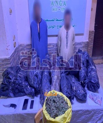 ضبط مخدرات