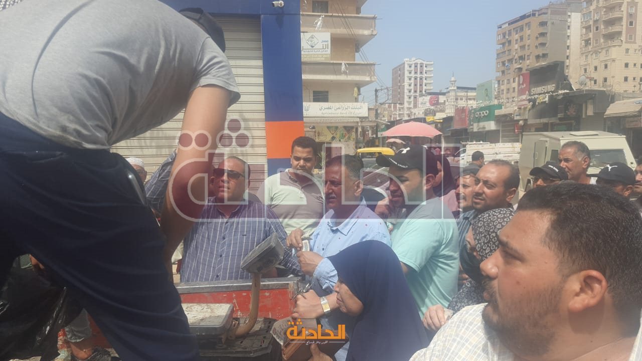 شراء السمك بالبلطي بـ 40 جنيها بكفر الشيخ