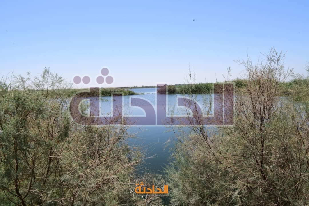 انهيار جسر� أحد أحواض الغابة الشجرية بالصالحية