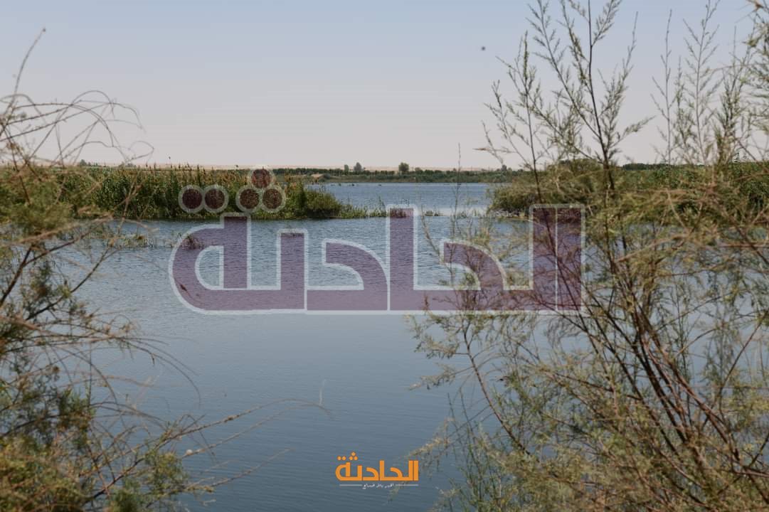 انهيار جسر� أحد أحواض الغابة الشجرية بالصالحية