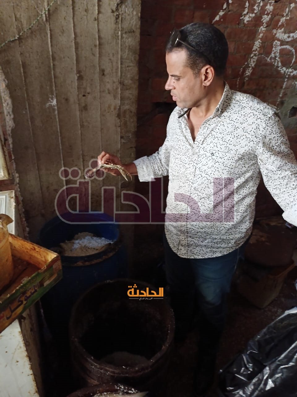 ضبط 4.5 طن دواجن وكبده ولحوم وأسماك فاسدة بالجيزة