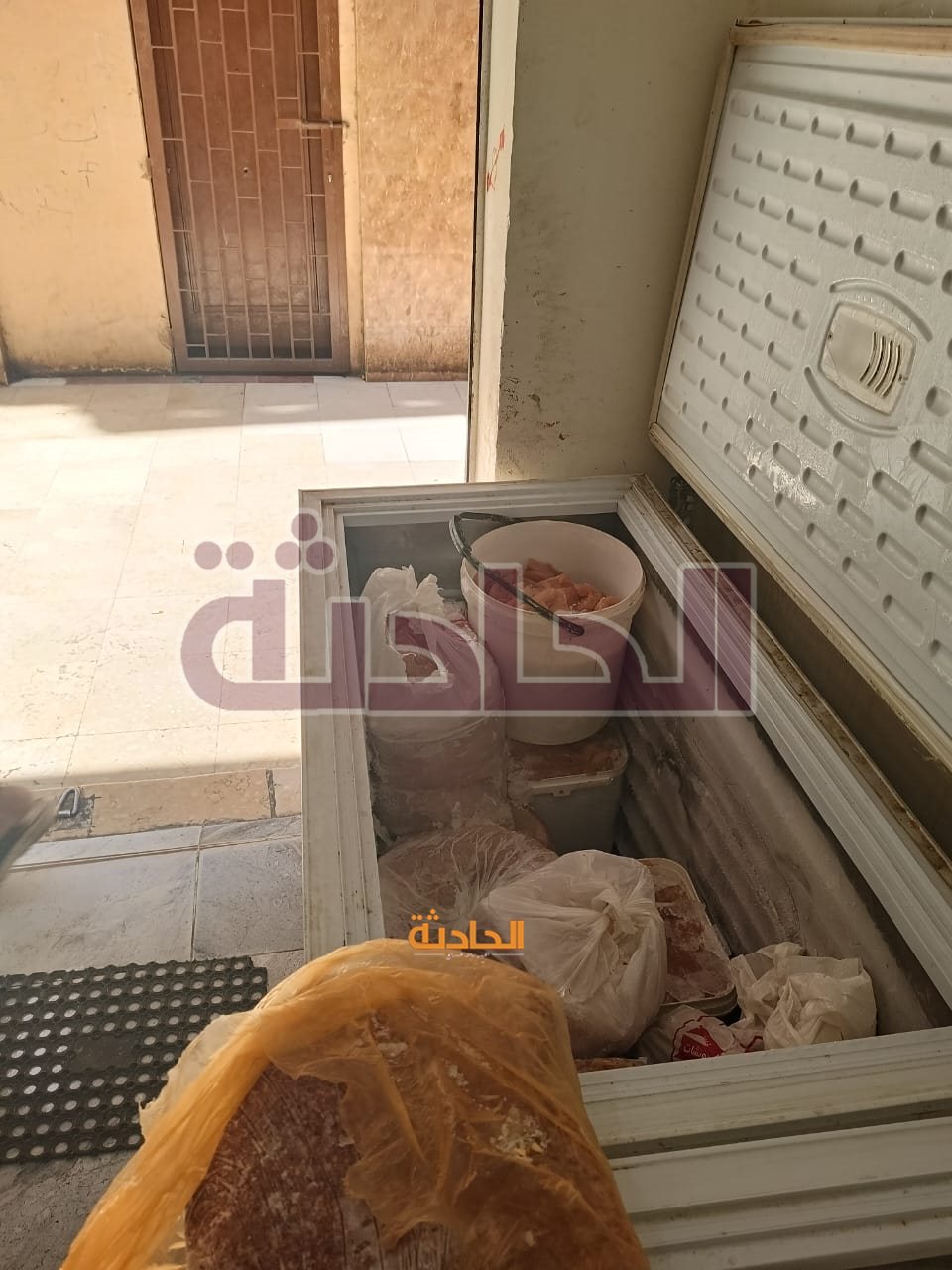ضبط 4.5 طن دواجن وكبده ولحوم وأسماك فاسدة بالجيزة