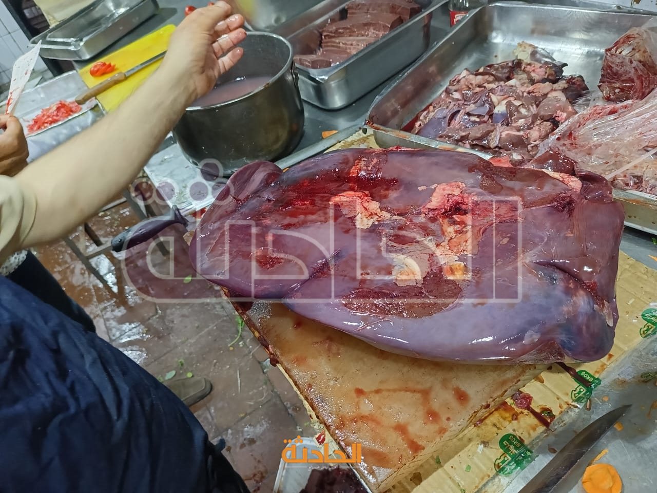 ضبط 4.5 طن دواجن وكبده ولحوم وأسماك فاسدة بالجيزة