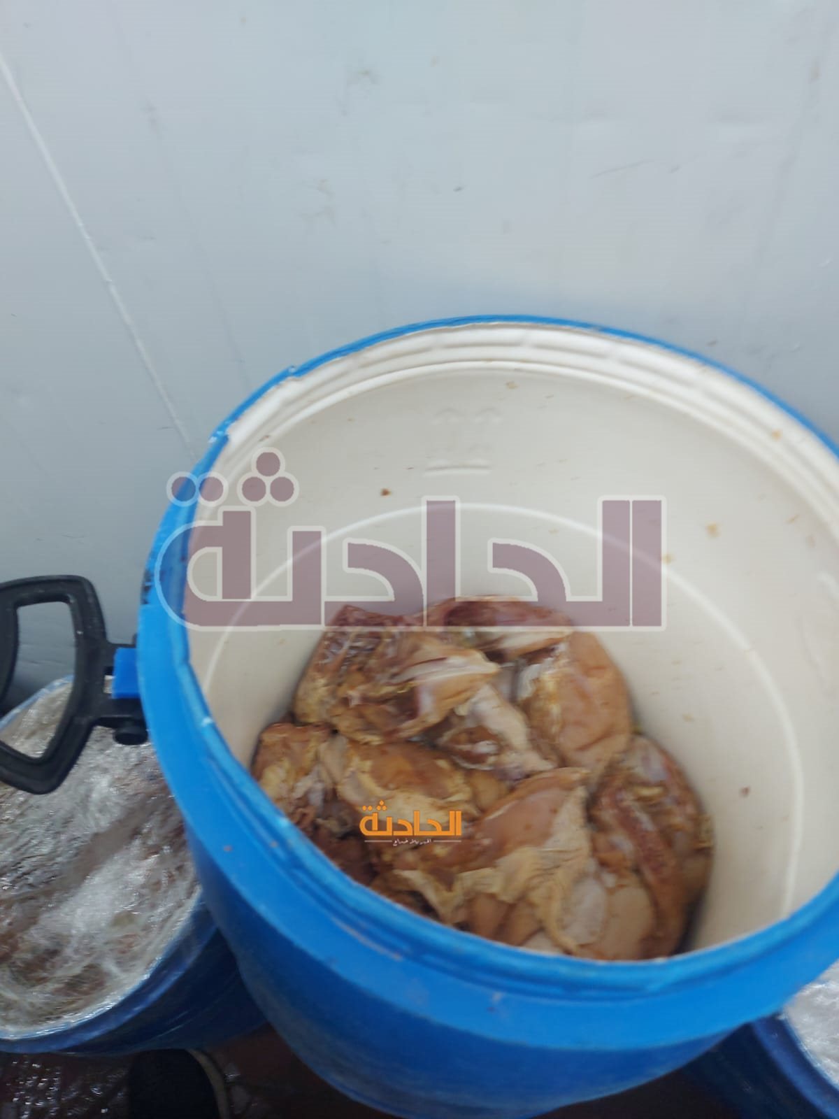 ضبط 4.5 طن دواجن وكبده ولحوم وأسماك فاسدة بالجيزة