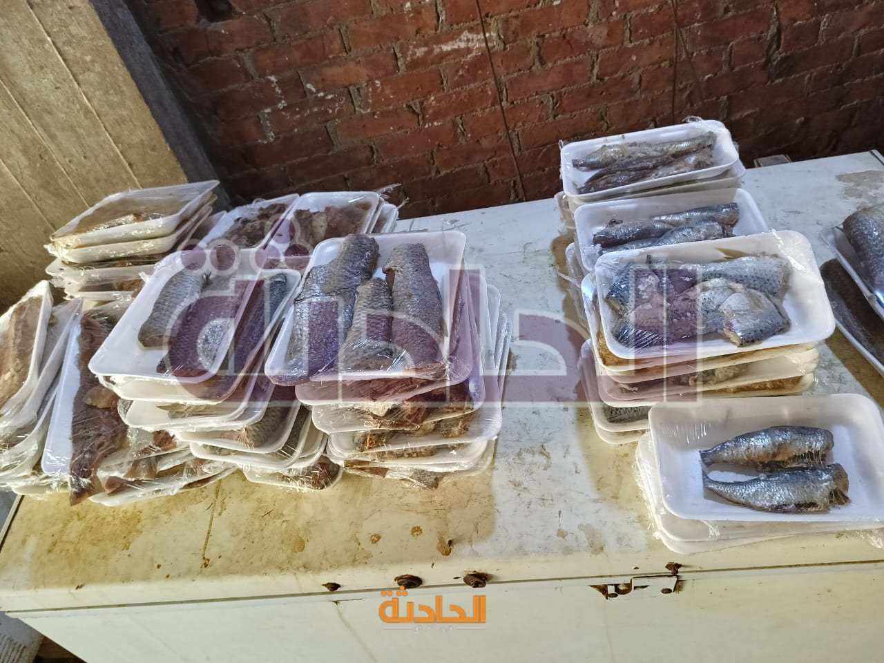 ضبط 4.5 طن دواجن وكبده ولحوم وأسماك فاسدة بالجيزة
