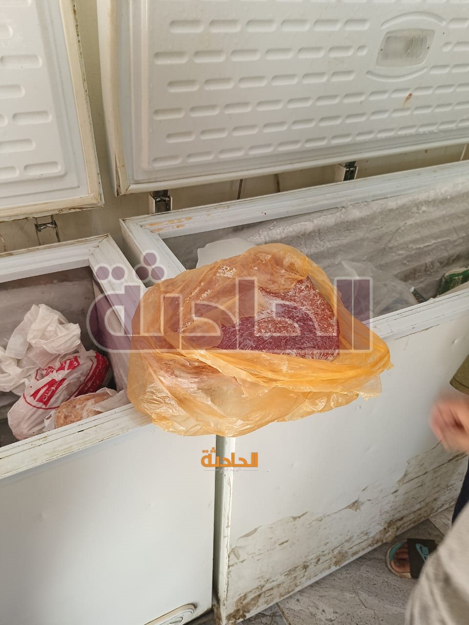 ضبط 4.5 طن دواجن وكبده ولحوم وأسماك فاسدة بالجيزة