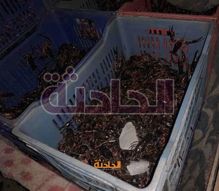 المسطحات 2