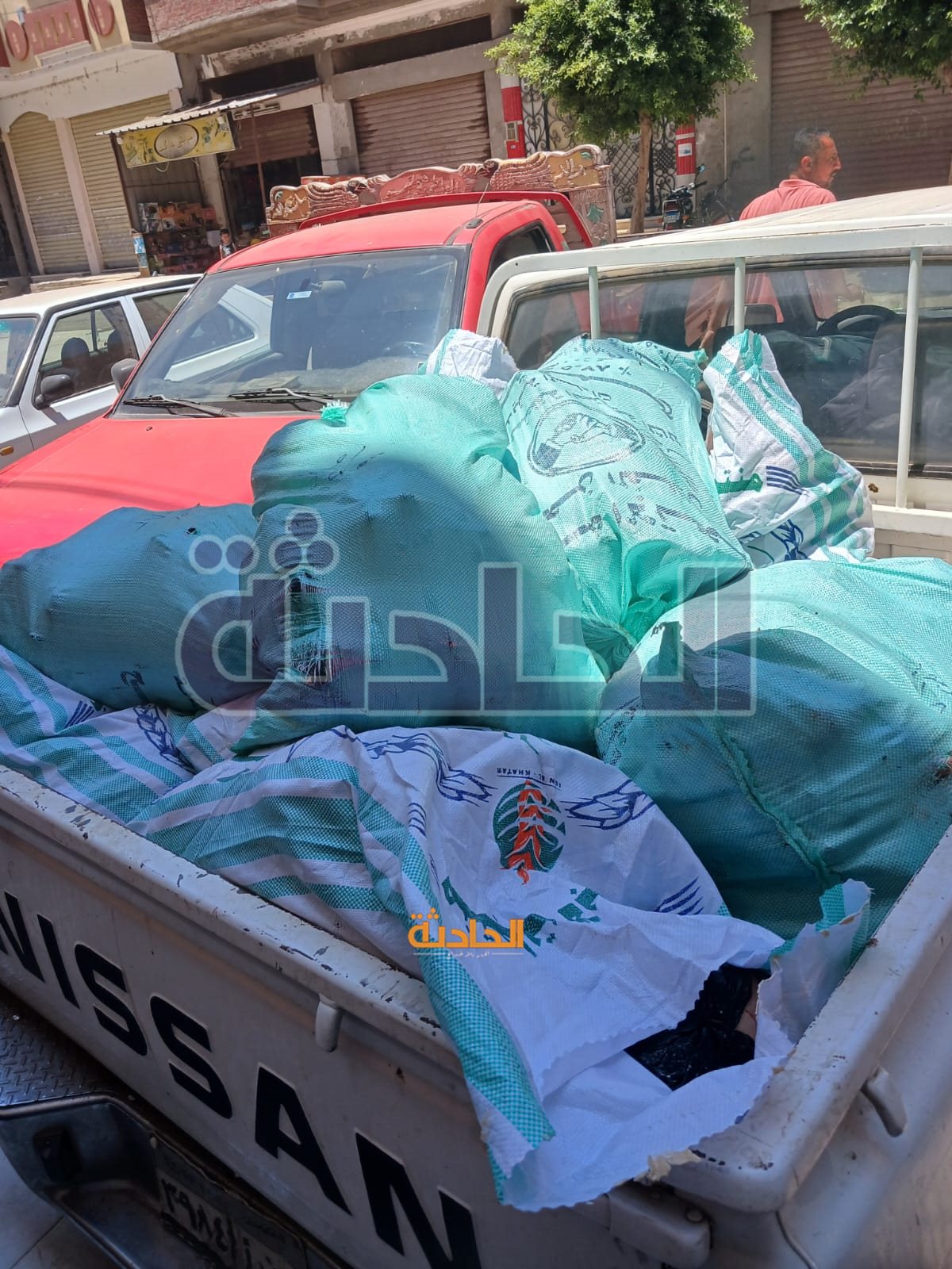 لحوم وأسماك غير صالحة للاستهلاك الآدمي في المنوفية