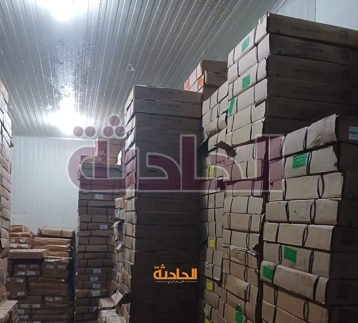 لحوم وأسماك غير صالحة للاستهلاك الآدمي في المنوفية