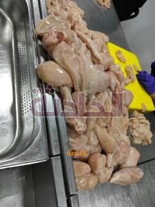 حلوى المولد 2