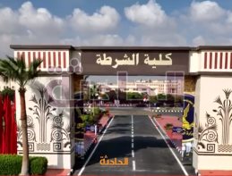 السيسى