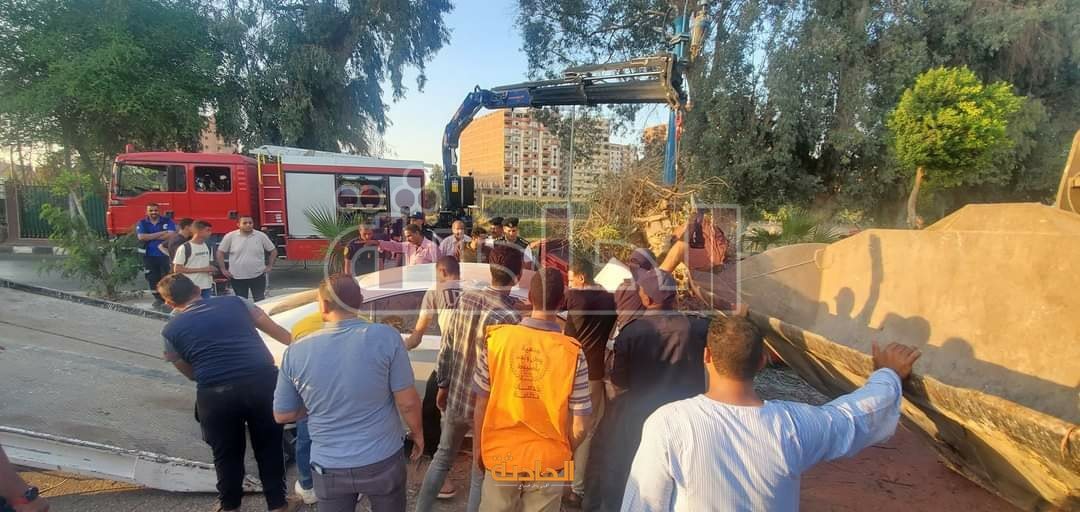 سقوط شجرة يتسبب في مصرع سائق وتحطم سيارتين بأسيوط