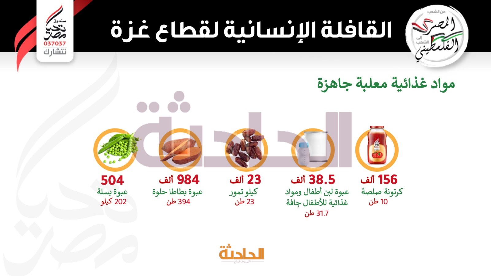 قافلة صندوق تحيا مصر لغزة