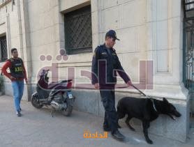 مخدرات 77