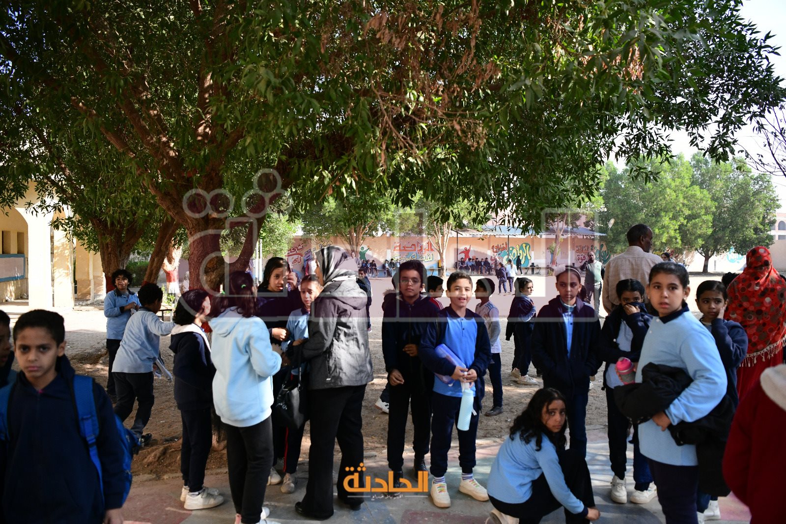 مصابو مدرسة تحيا مصر