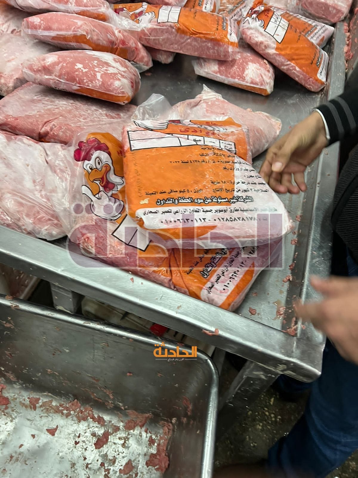 ضبط لحوم ودواجن فاسدة داخل محال ومطاعم شهيرة بالجيزة