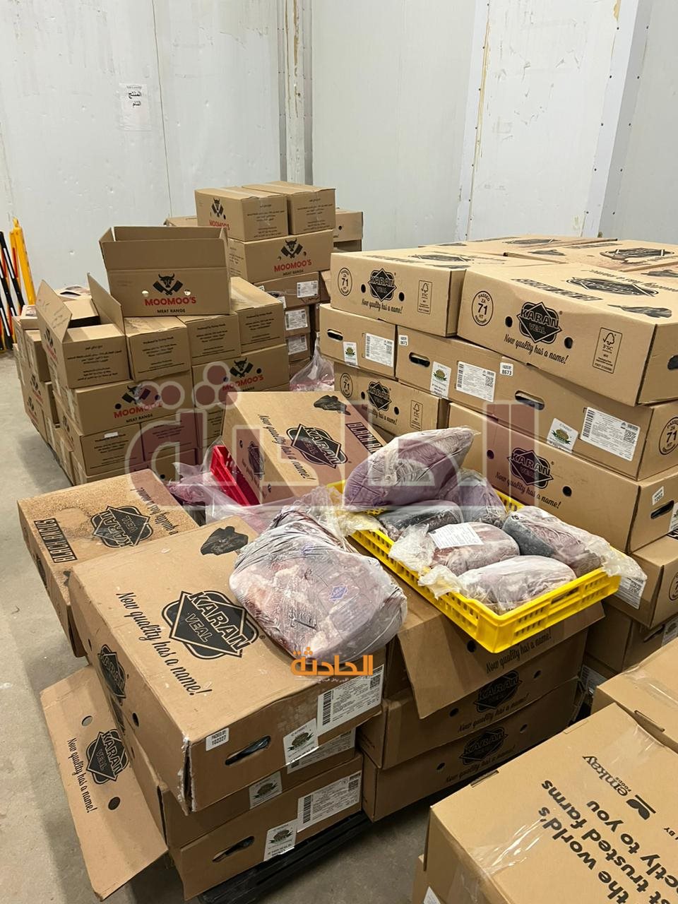 ضبط لحوم ودواجن فاسدة داخل محال ومطاعم شهيرة بالجيزة