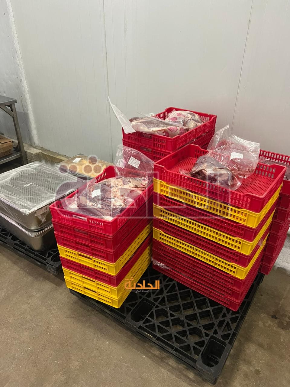 ضبط لحوم ودواجن فاسدة داخل محال ومطاعم شهيرة بالجيزة