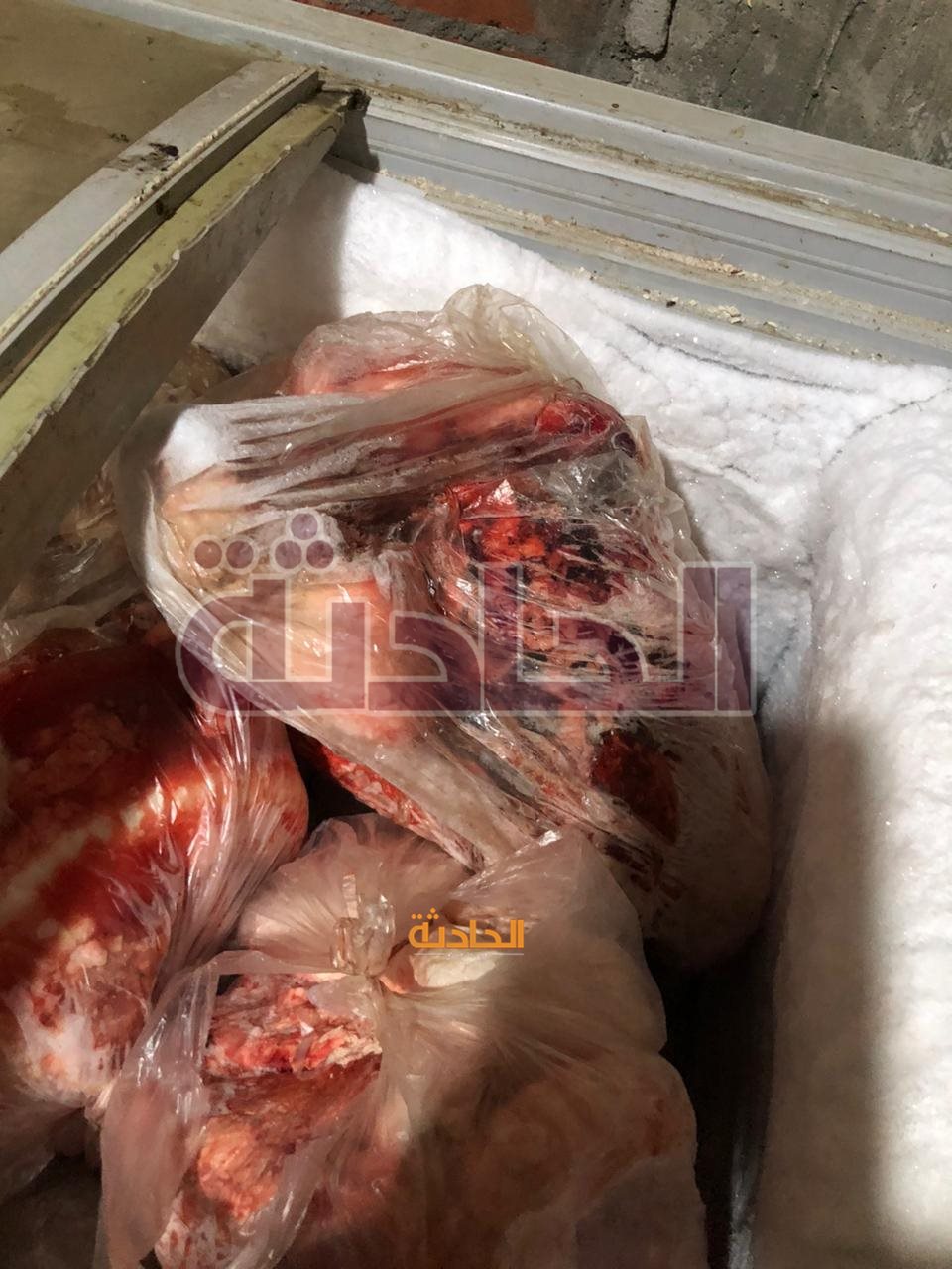 ضبط لحوم ودواجن فاسدة داخل محال ومطاعم شهيرة بالجيزة