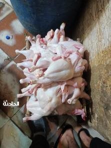 كفتة وحواوشى ودواجن فاسدة