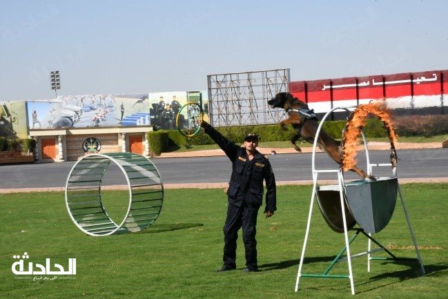 الشرطة