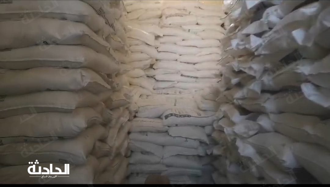 ضبط 1100 طن من السلع بالإسكندرية والشرقية بقصد حجبها