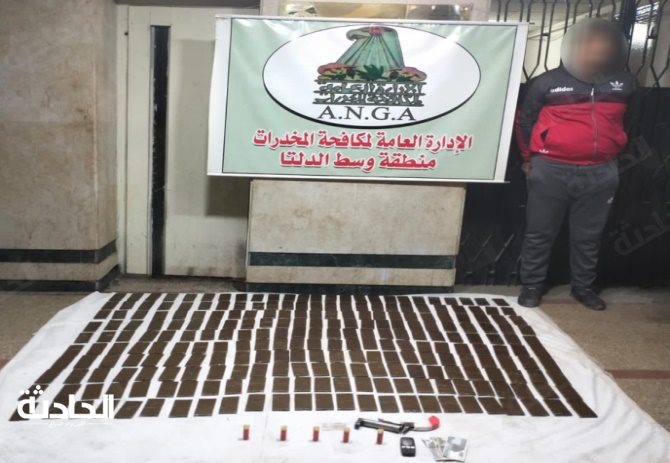 ضبط 7 عناصر إجرامية وبحوزتهم مخدرات بالمنوفية والغربية بـ 3.5 مليون جنيه