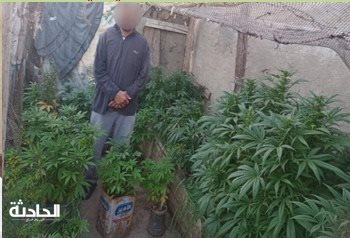 ضبط 9 عناصر إجرامية بحوزة مخدرات بينهم صاحب مزرعة بانجو
