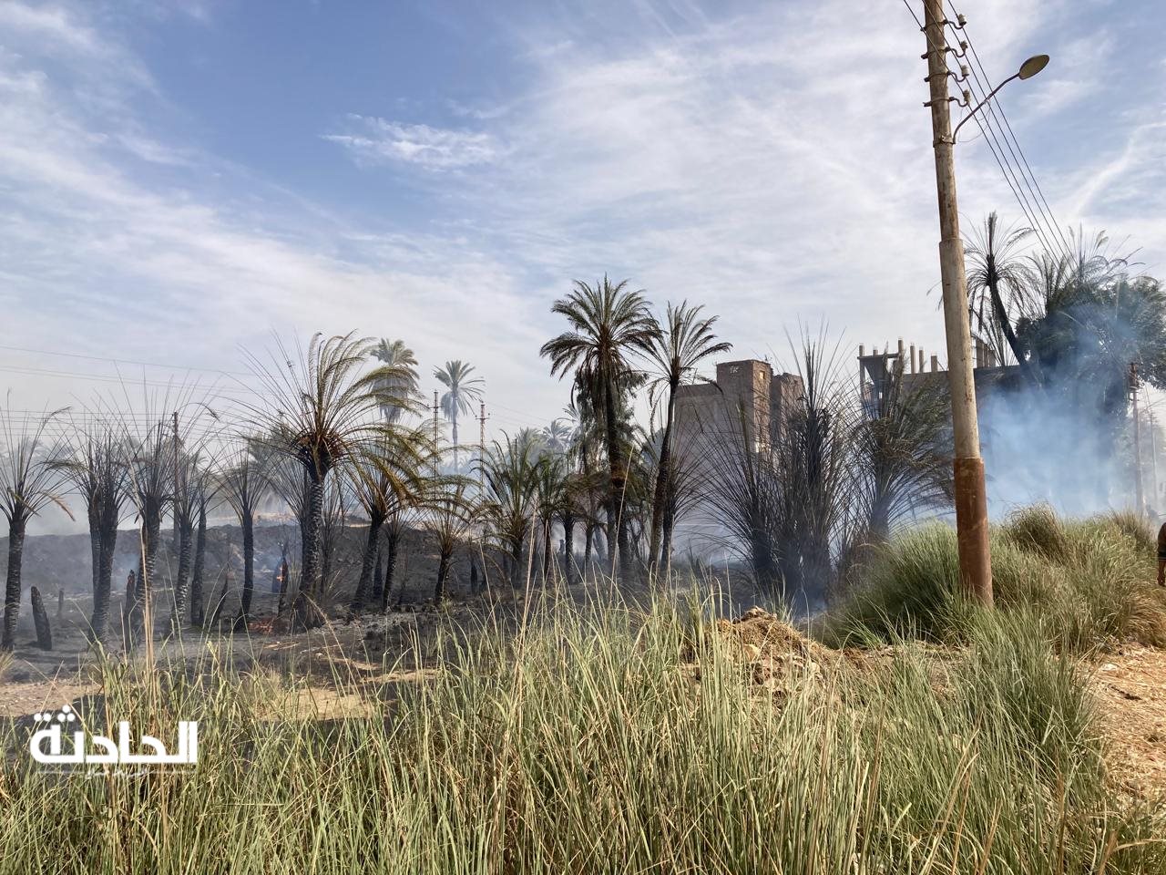حريق بمزرعة مواشي بأسوان