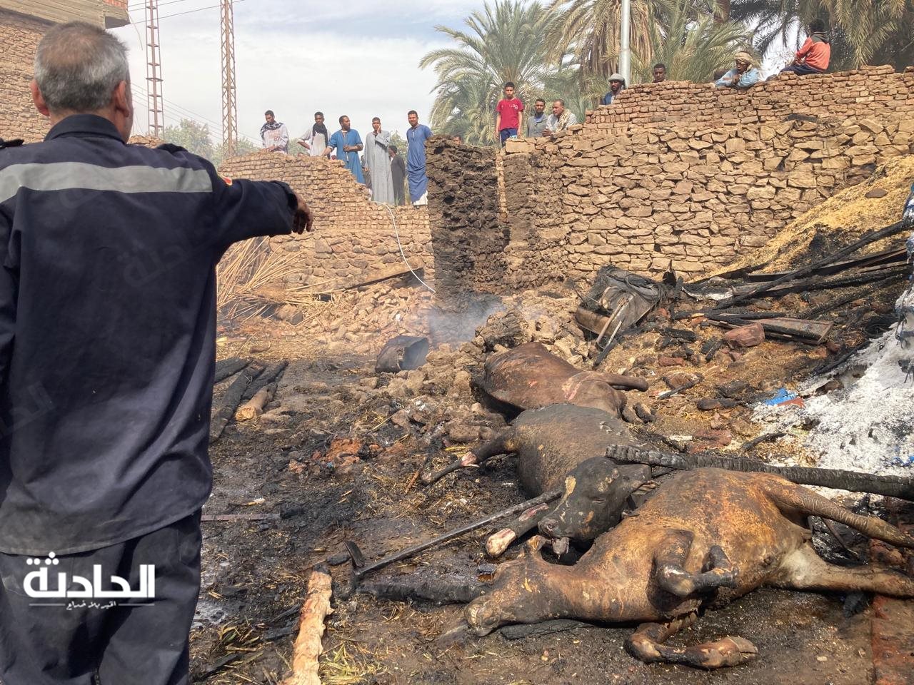 حريق بمزرعة مواشي بأسوان