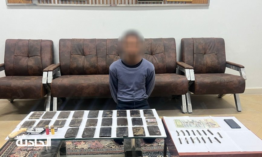 ضبط عنصرين إجراميين بالمنوفية والدقهلية