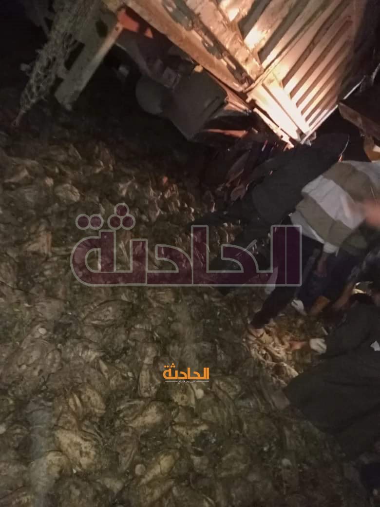 حادث تصادم تريلا بكفر الدوار