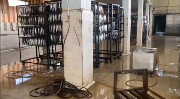 ضبط 186 طن رنجة فاسدة داخل مصنعين بالغربية