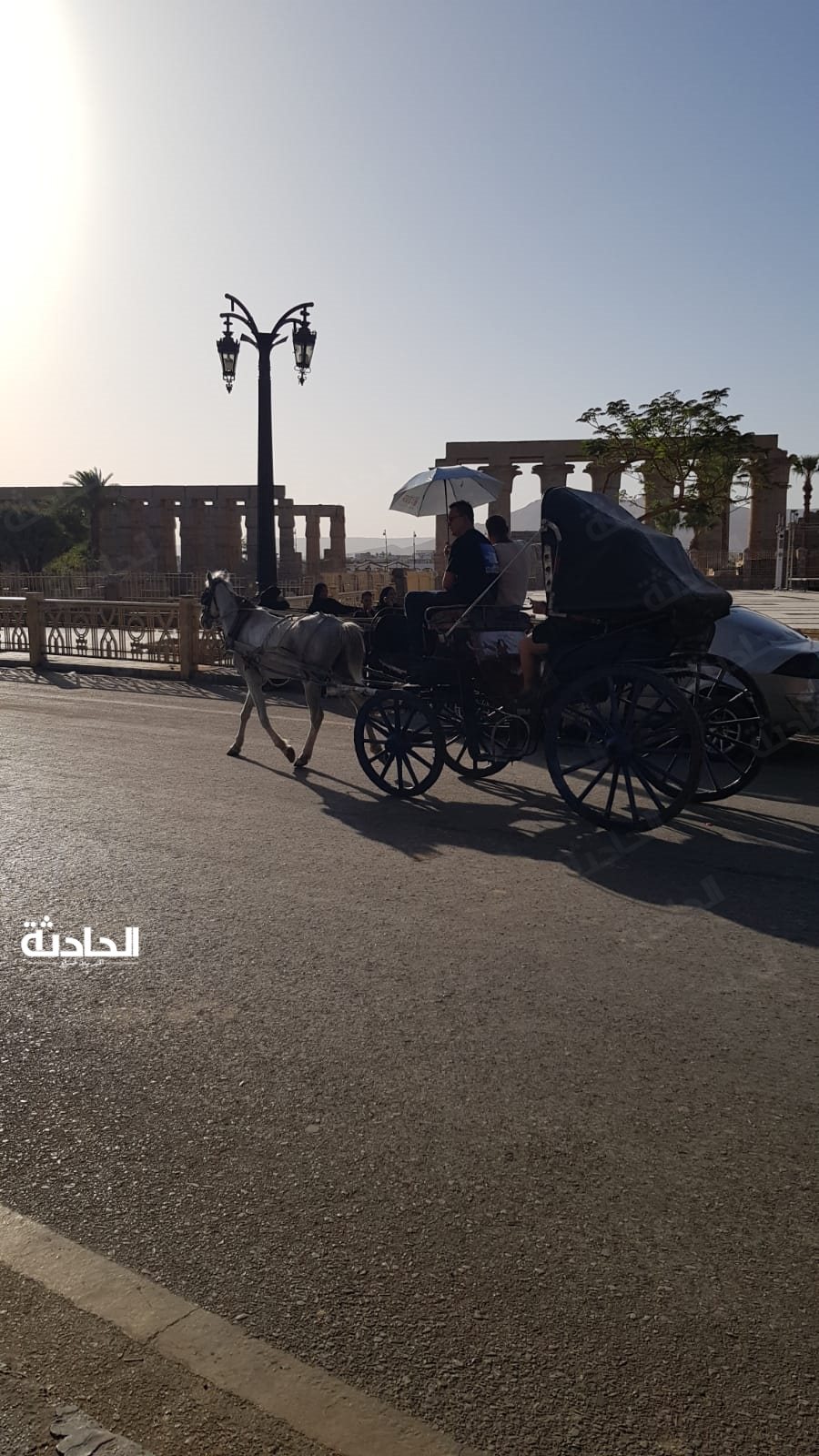 السائحون يستمتعون بأجواء الربيع في الأقصر