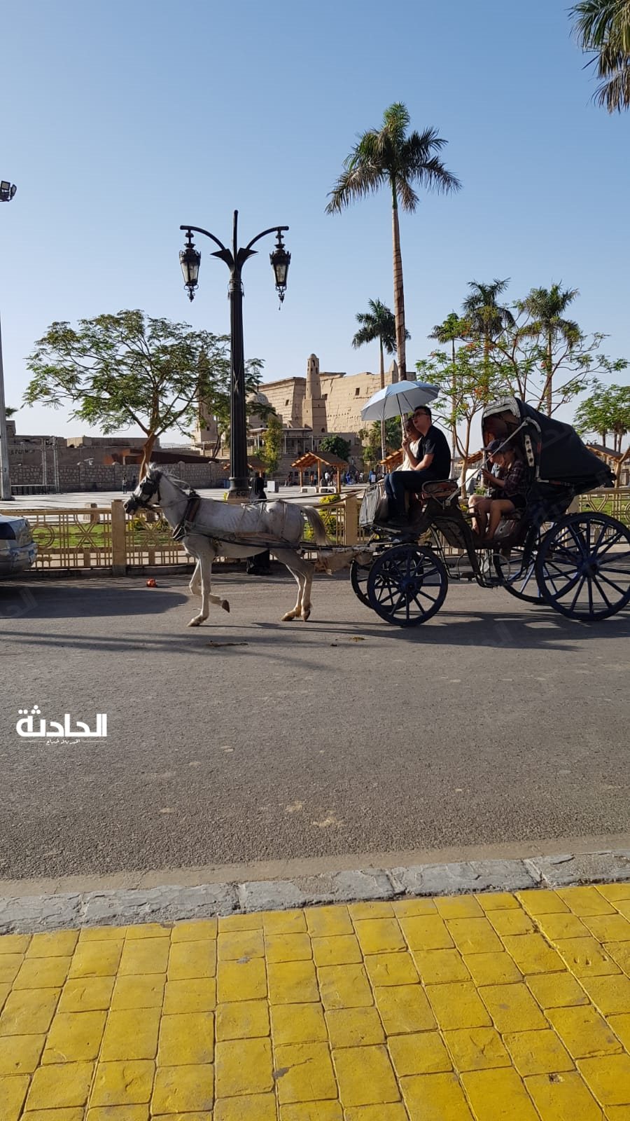 السائحون يستمتعون بأجواء الربيع في الأقصر
