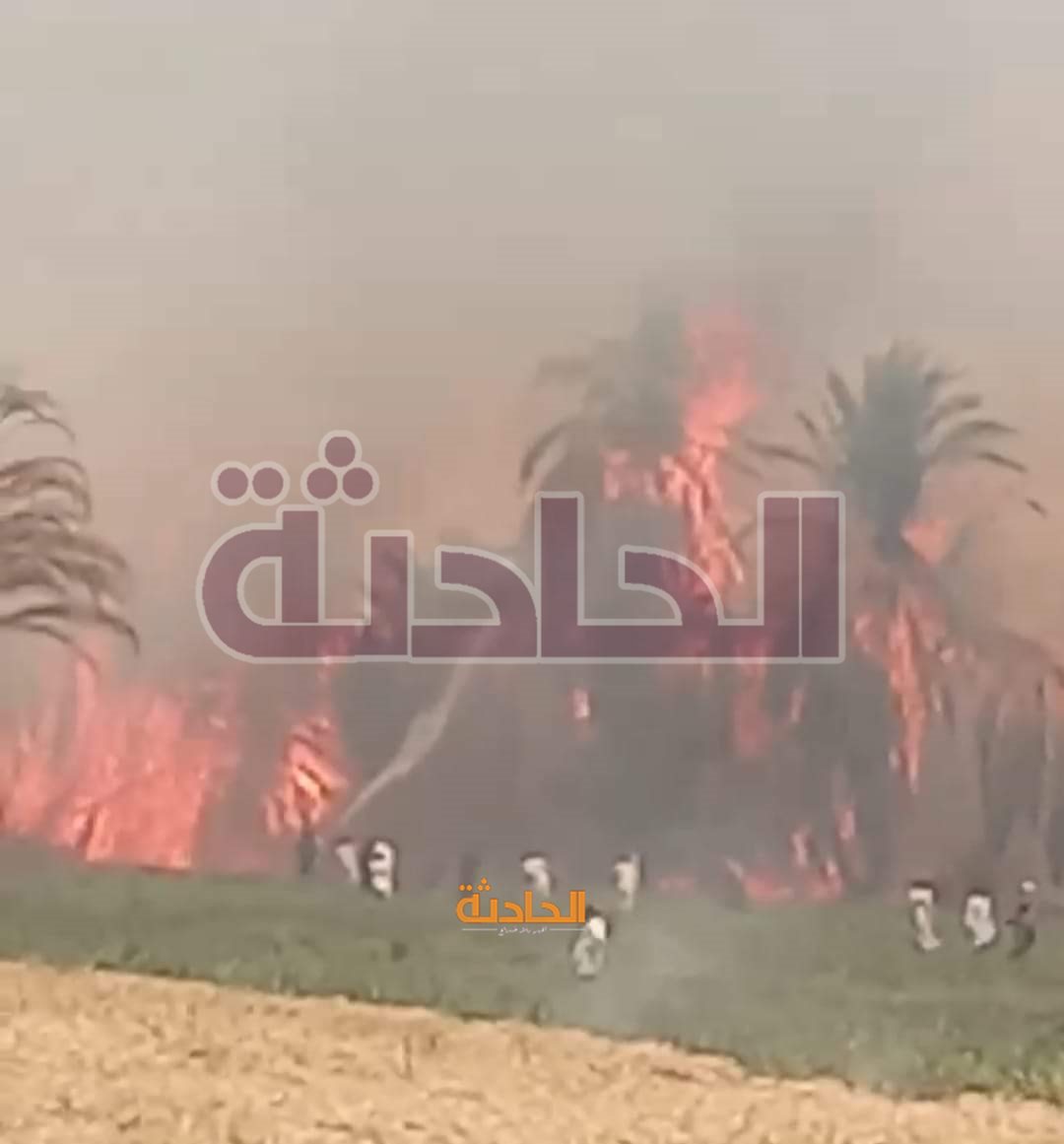 حريق هائل يلتهم 200 نخلة بإسنا جنوب الأقصر�