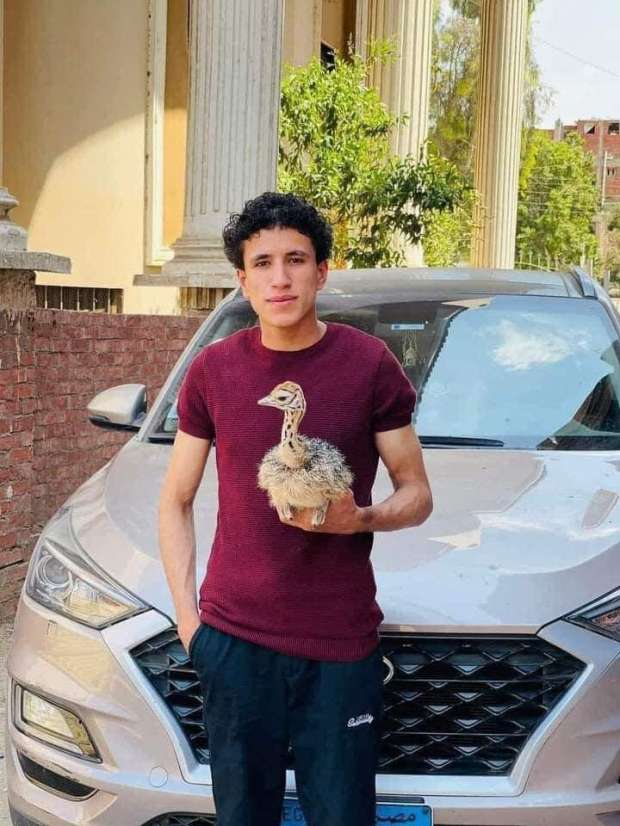 مربى نعام يوسف