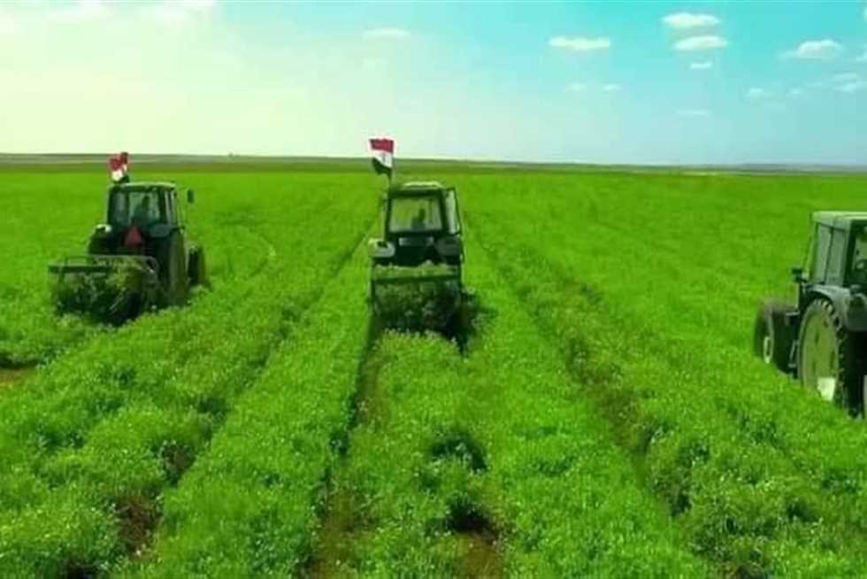 مشروع توشكى
