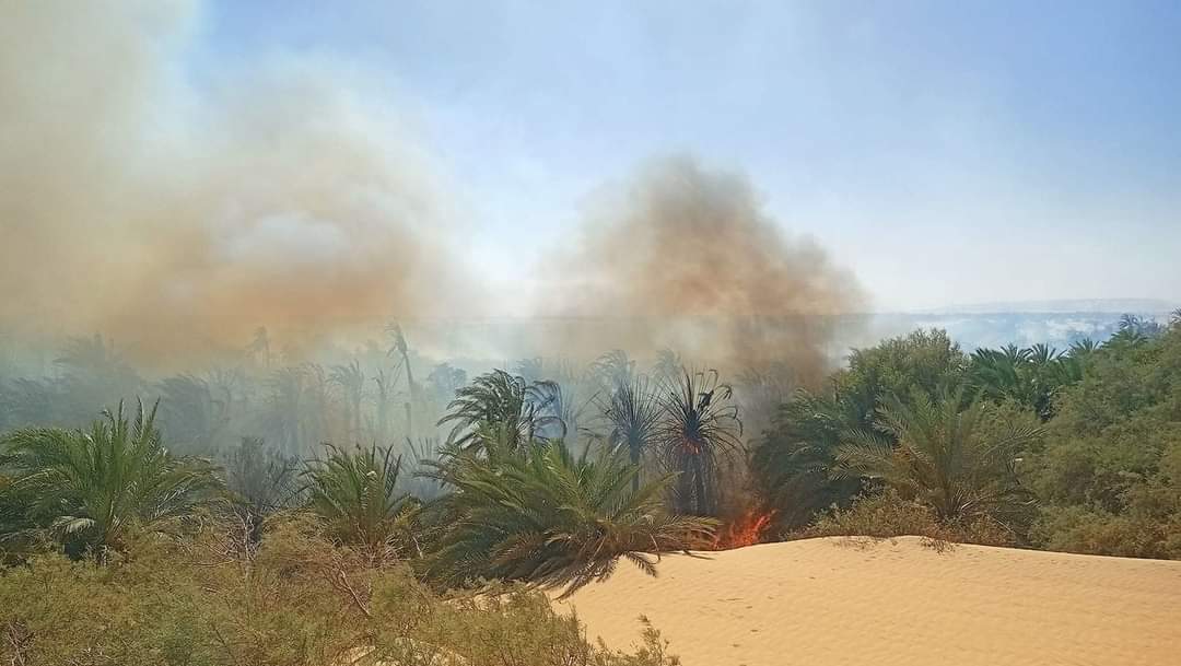 حريق الوادي الجديد