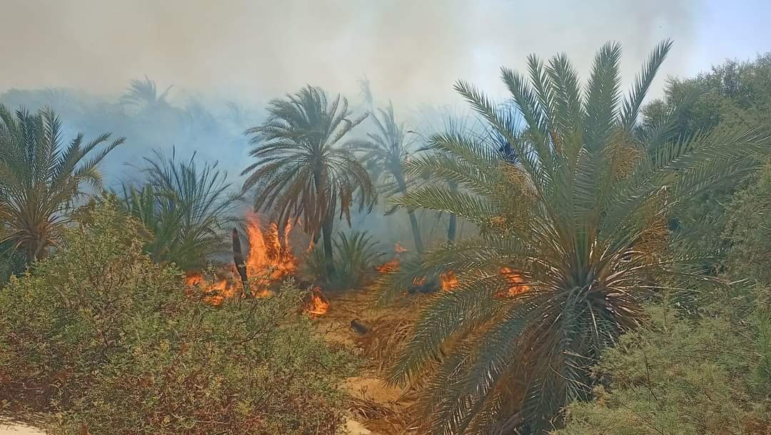حريق الوادي الجديد