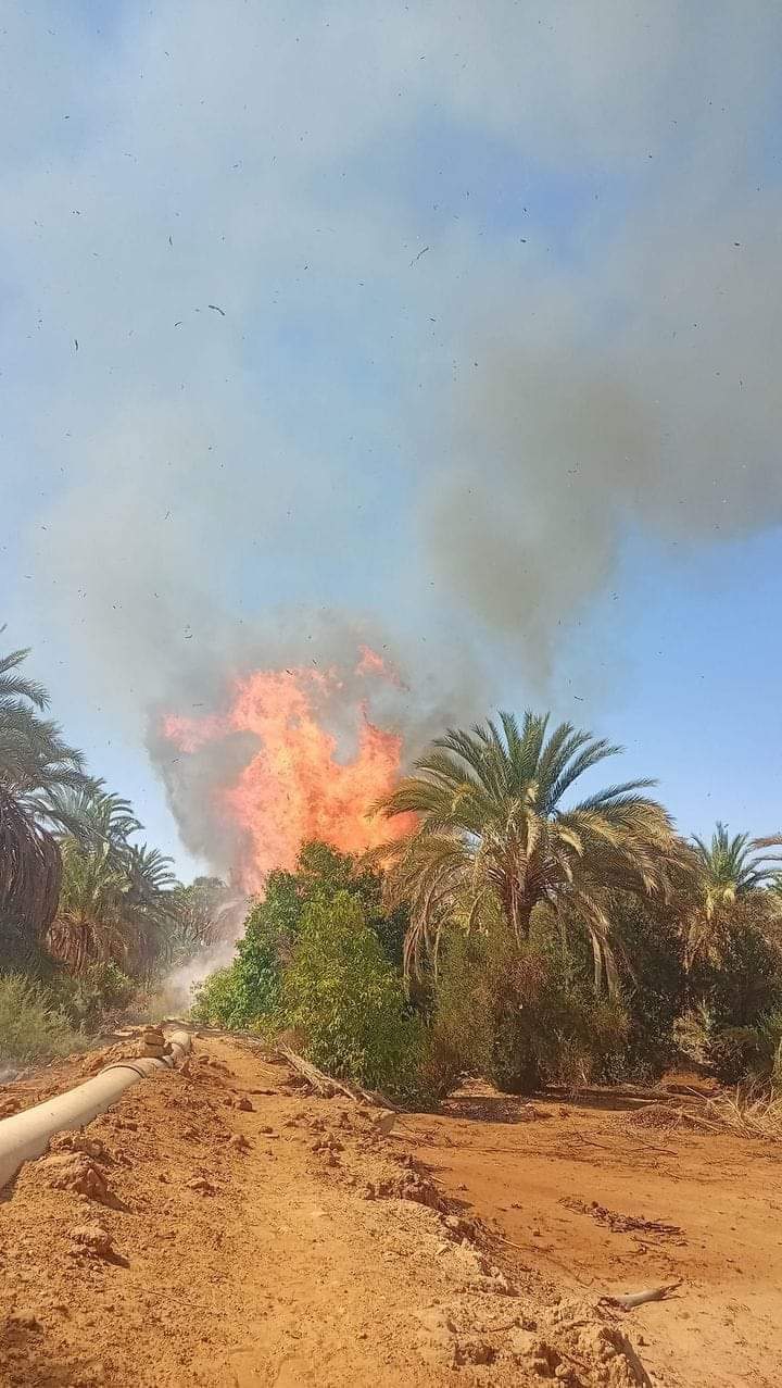 حريق الوادي الجديد